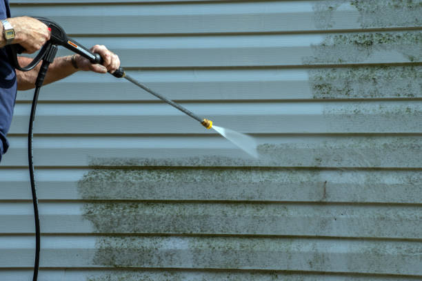 Best Affordable Pressure Washing  in Somerville, TN